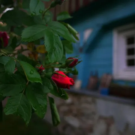 Black Yurt Chromiec Campo de lujo *