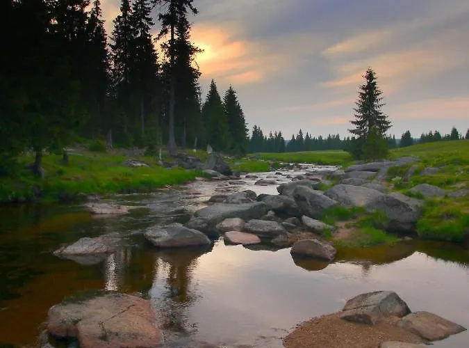 Black Yurt Chromiec *