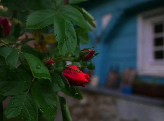 Black Yurt Chromiec Luxury tent *